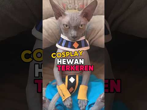 Cosplay Hewan Terkeren Yang Pernah Ada 😲 #anime #animeindo